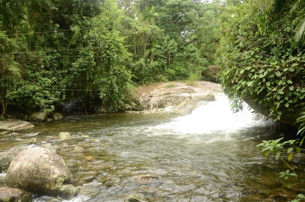 Poço do Tarzan