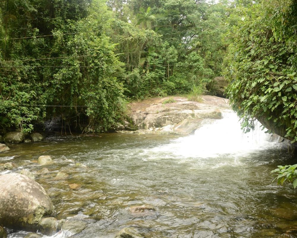 Poço do Tarzan