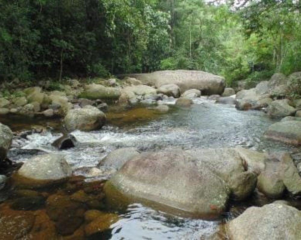 poço das andorinhas